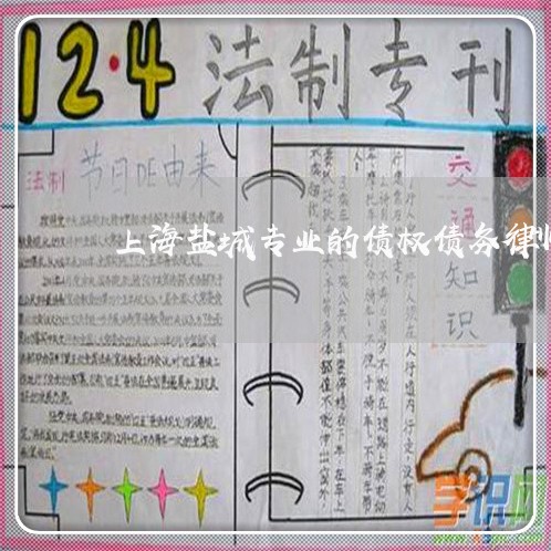 上海盐城专业的债权债务律师/2023032418139