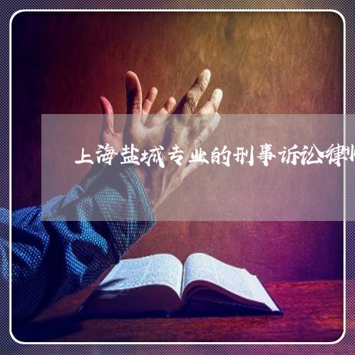 上海盐城专业的刑事诉讼律师/2023032433928 上海盐城专业的刑事诉讼律师/2023032433928