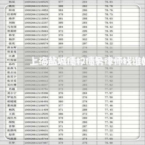 上海盐城债权债务律师找谁好/2023032434038