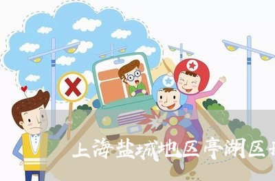 上海盐城地区亭湖区刑事律师/2023032406934