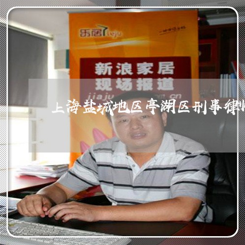 上海盐城地区亭湖区刑事律师/2023032470583