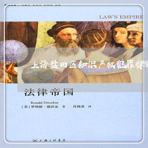 上海盐田区知识产权犯罪律师/2023032496453