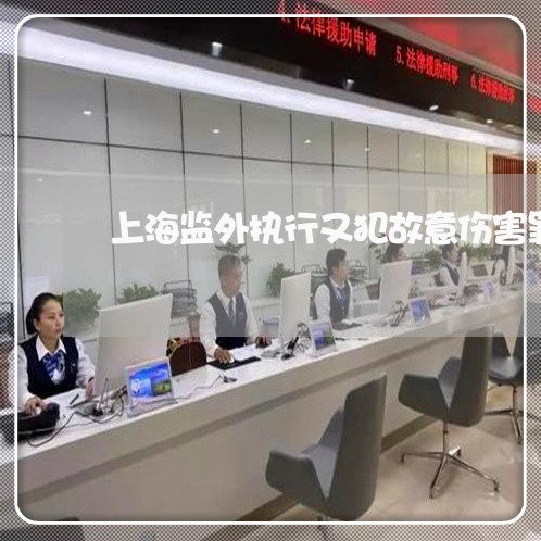 上海监外执行又犯故意伤害罪/2023032458483 上海监外执行又犯故意伤害罪/2023032458483