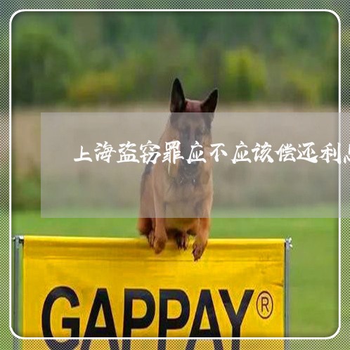 上海盗窃罪应不应该偿还利息