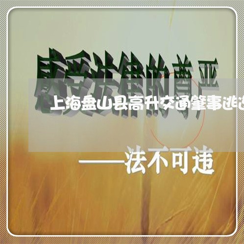 上海盘山县高升交通肇事逃逸/2023032477158