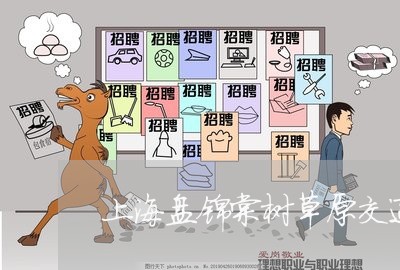 上海盘锦棠树草原交通事故/2023032223038 上海盘锦棠树草原交通事故/2023032223038
