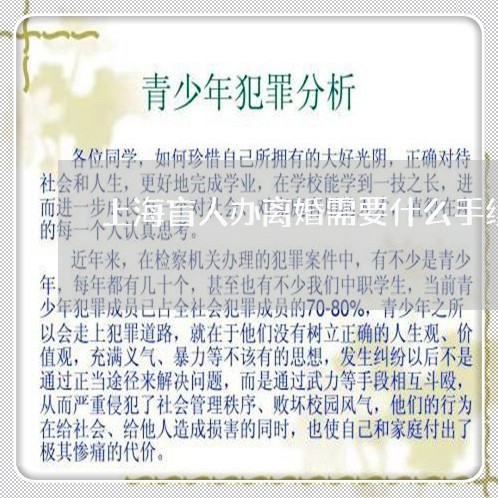 上海盲人办离婚需要什么手续/2023032425251 上海盲人办离婚需要什么手续/2023032425251