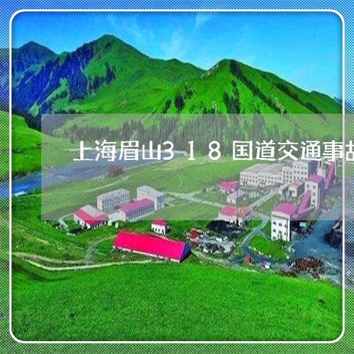 上海眉山318国道交通事故/2023032494805