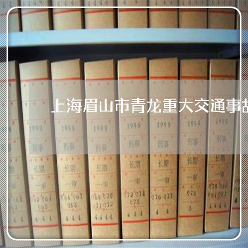上海眉山市青龙重大交通事故/2023032482706 上海眉山市青龙重大交通事故/2023032482706