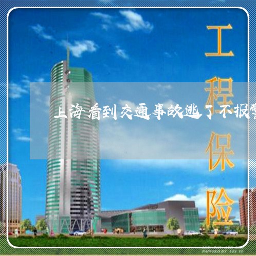 上海看到交通事故逃了不报警/2023032405040