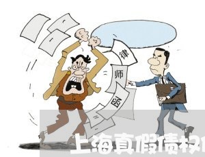 上海真假债权债务人/2023032636048 上海真假债权债务人/2023032636048