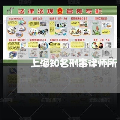 上海知名刑事律师所/2023032693817 上海知名刑事律师所/2023032693817