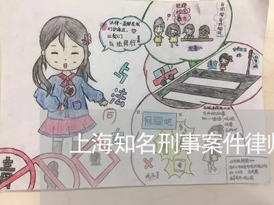 上海知名刑事案件律师事务所/2023032481727