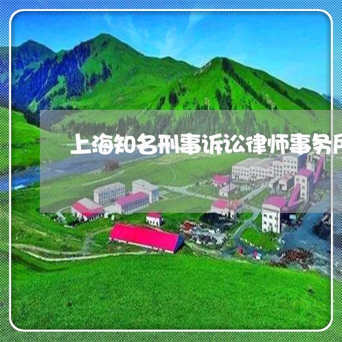 上海知名刑事诉讼律师事务所/2023032400491