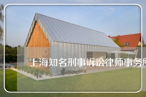 上海知名刑事诉讼律师事务所/2023032494168