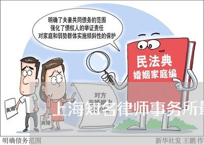 上海知名律师事务所最新排名/2023032496936