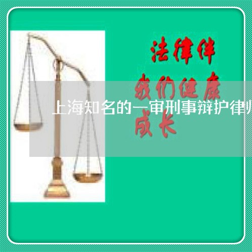 上海知名的一审刑事辩护律师/2023032430382 上海知名的一审刑事辩护律师/2023032430382