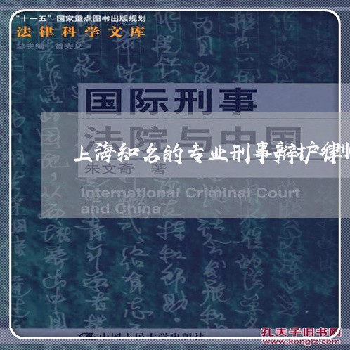 上海知名的专业刑事辩护律师/2023032493946