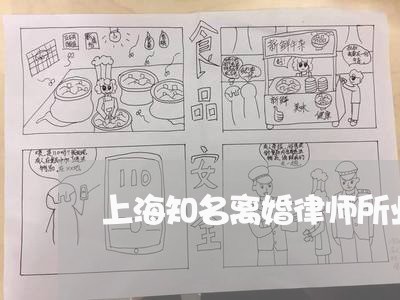 上海知名离婚律师所业务报价/2023032427238