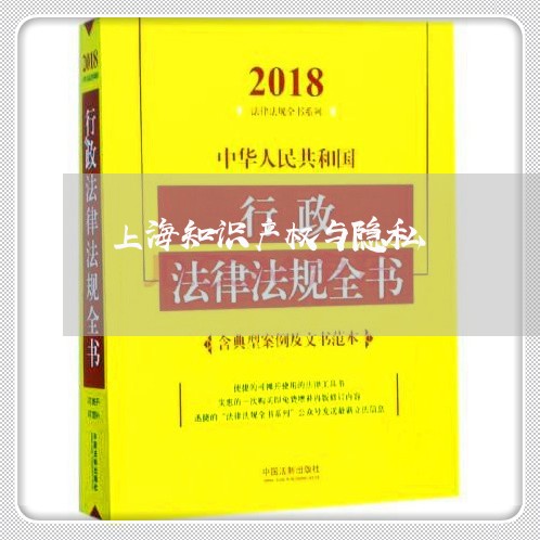 上海知识产权与隐私/2023032637240