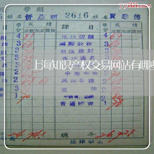 上海知识产权交易网站有哪些/2023032581936 上海知识产权交易网站有哪些/2023032581936