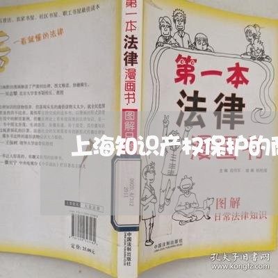 上海知识产权保护的商业逻辑/2023032561793 上海知识产权保护的商业逻辑/2023032561793