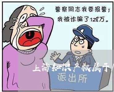 上海知识产权属于几类商标/2023032285931