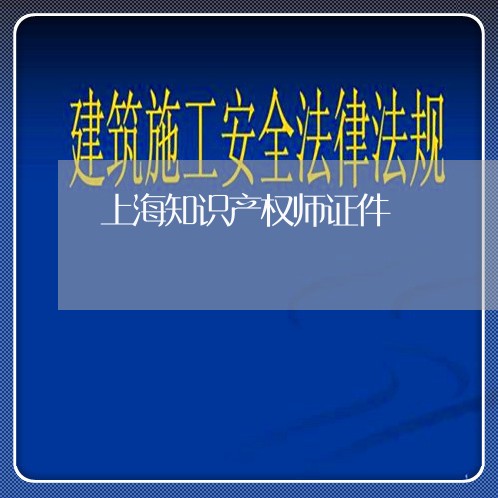 上海知识产权师证件/2023032662693