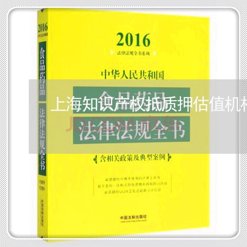 上海知识产权抵质押估值机构/2023032583816