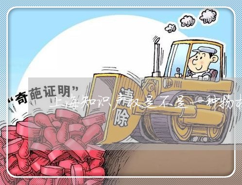 上海知识产权是不是一种物权/2023032598461