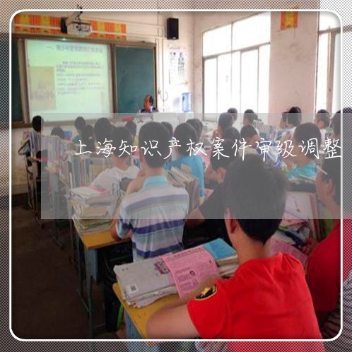 上海知识产权案件审级调整/2023032294928