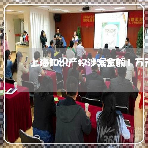 上海知识产权涉案金额1万元/2023032547182 上海知识产权涉案金额1万元/2023032547182