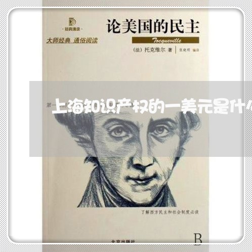 上海知识产权的一美元是什么/2023032593836