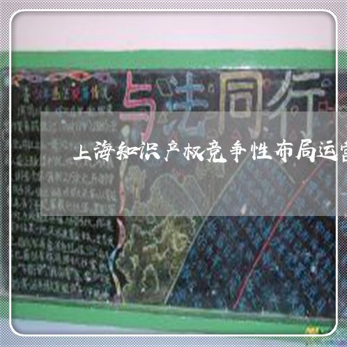 上海知识产权竞争性布局运营/2023032575814 上海知识产权竞争性布局运营/2023032575814