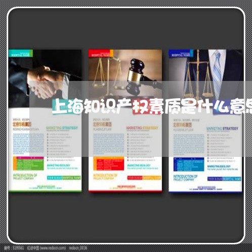 上海知识产权素质是什么意思/2023032571714