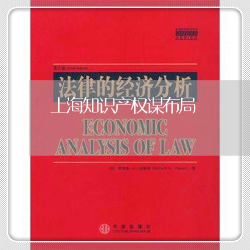上海知识产权谋布局/2023032630592 上海知识产权谋布局/2023032630592