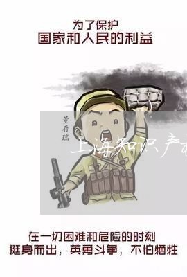 上海知识产权运营平台同质化/2023032528260 上海知识产权运营平台同质化/2023032528260