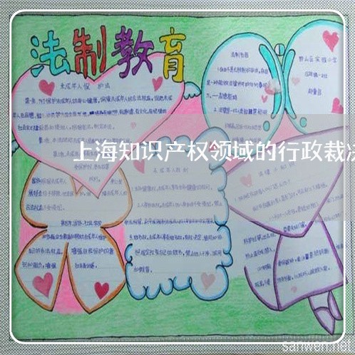 上海知识产权领域的行政裁决/2023032573606