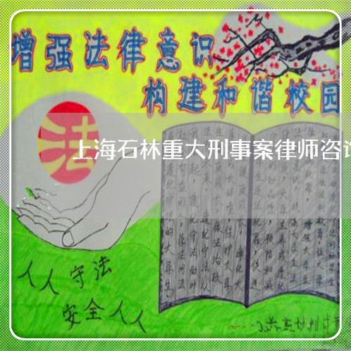 上海石林重大刑事案律师咨询/2023032483915