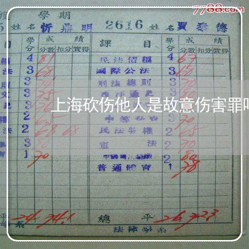 上海砍伤他人是故意伤害罪吗/2023032464814