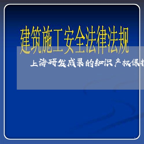 上海研发成果的知识产权保护/2023032486148 上海研发成果的知识产权保护/2023032486148