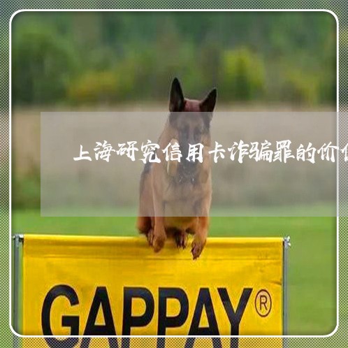 上海研究信用卡诈骗罪的价值/2023032428270