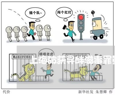 上海破获寻衅滋事罪量刑标准/2023032484846