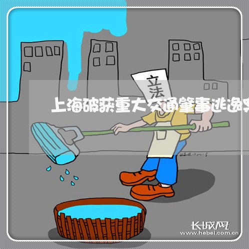 上海破获重大交通肇事逃逸案/2023032469572