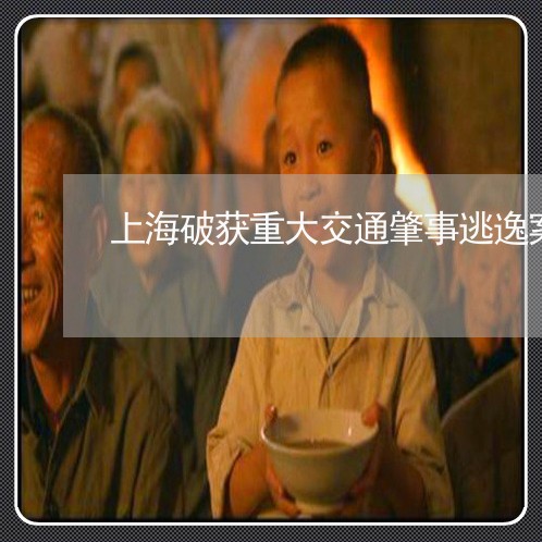 上海破获重大交通肇事逃逸案/2023032486047