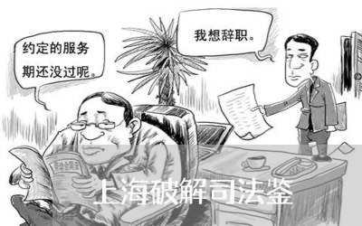 上海破解司法鉴 上海破解司法鉴