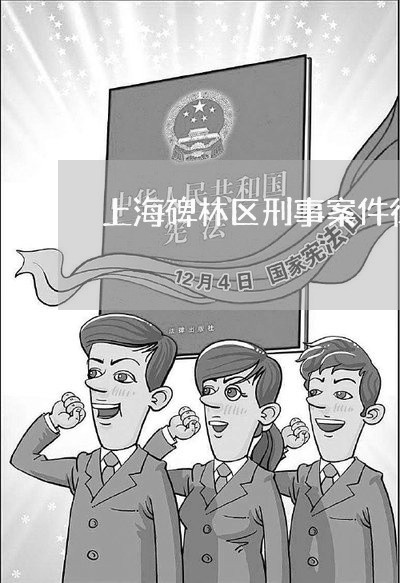 上海碑林区刑事案件律师咨询/2023032495827