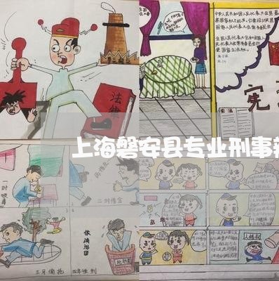 上海磐安县专业刑事辩护律师/2023032559282