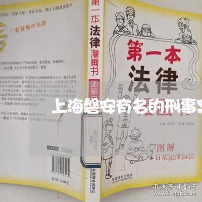 上海磐安有名的刑事案件律师/2023032526260