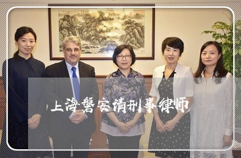 上海磐安请刑事律师/2023032627947